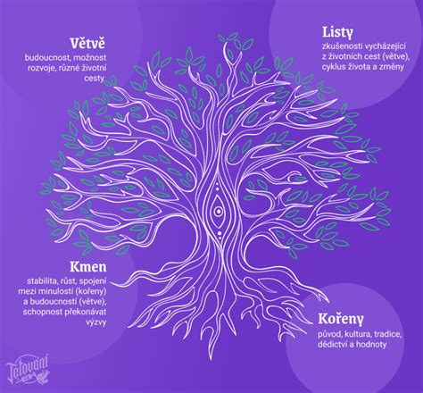infografika symbolika stromu života