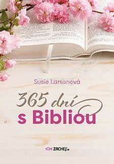 Ilustrácia človeka s otvorenou Bibliou a žiarivým svetlom
