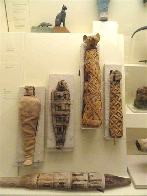 Nálezisko mačacích múmií v starovekom Egypte