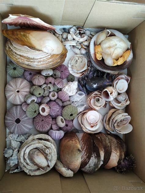 Rôzne druhy kyvadiel