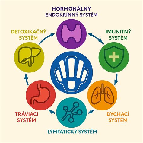 Diagram znázorňujúci numerologickú mriežku