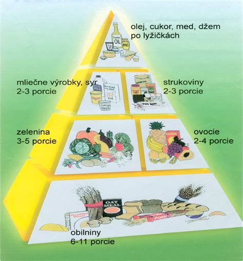 Ilustrácia zdravej stravy pre Raka