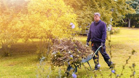 Záhrada počas splnu