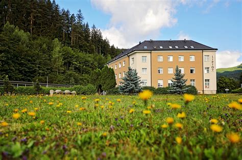 Jarná príroda v plnom kvete