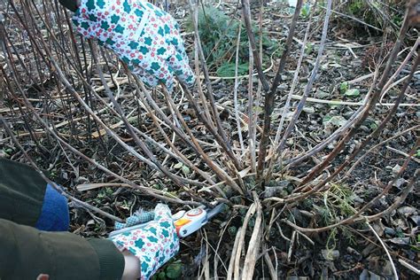 Prvé jarné práce v záhrade