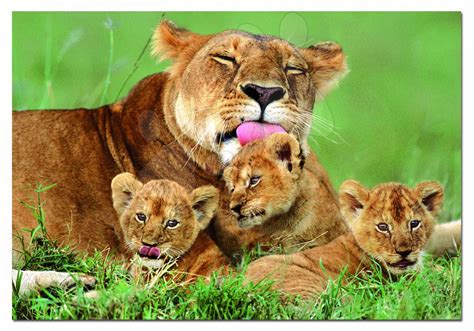 Levica s mláďatami