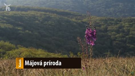 Májová príroda a kvety