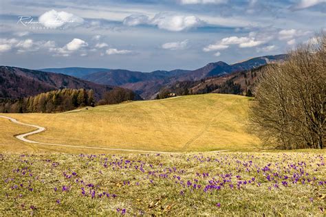 Prebúdzajúca sa príroda na jar