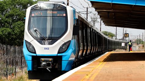 Ilustrácia Had a Prasa