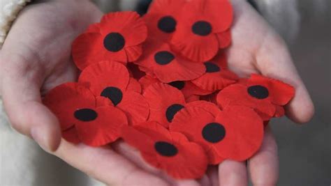 Červený mak ako symbol vojnových obetí