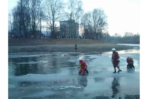 Ilustrácia lososa v rieke