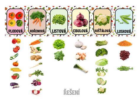 Ilustrácia rôznych druhov zeleniny