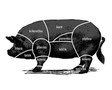 Ilustrácia šťastného prasaťa