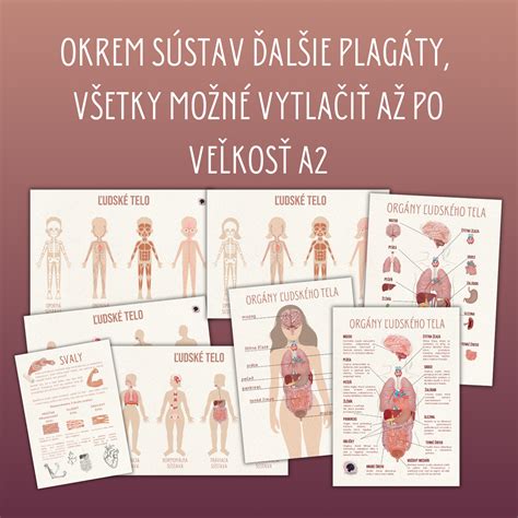Infografika znázorňujúca účinky čistca na ľudské telo