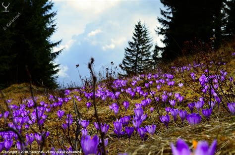 Jarná príroda a nový začiatok