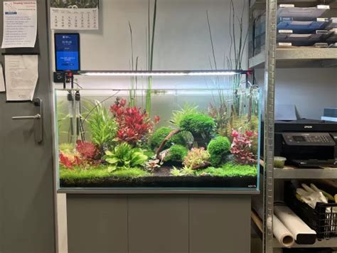 Akvárium v kancelárii