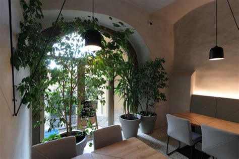 interiér s rastlinami v tmavom kúte