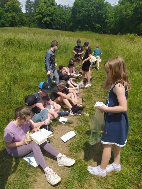 Zbieranie liečivých bylín v kysuckej prírode