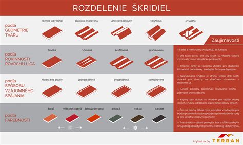 Infografika znázorňujúca rozdelenie znamení podľa živlov