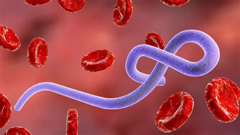 detailný záber na štandardnú galaktickú abecedu používanú v rozhraní oltára