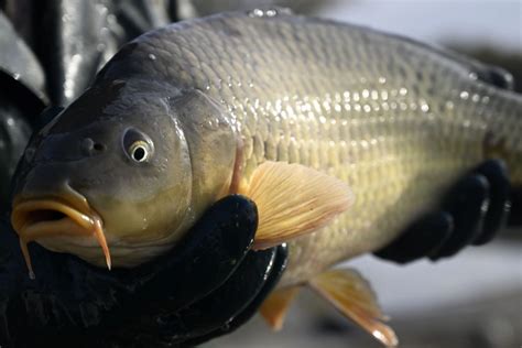 mapa ezoterických obchodov v Bratislave