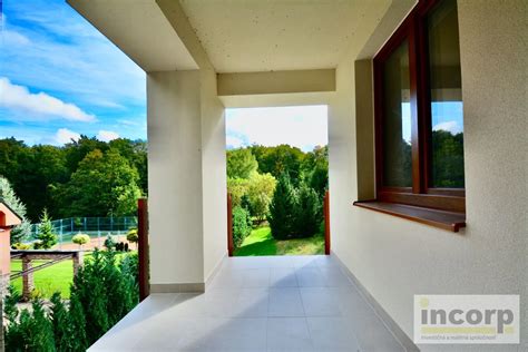 Záhadný symbolický kruh v lesnom prostredí reprezentujúci okultné tradície