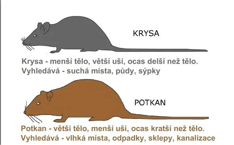 Žena Potkan s deťmi