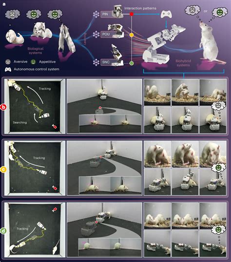 Konceptuálne znázornenie prepojenia medzi starými legendami a modernou technológiou