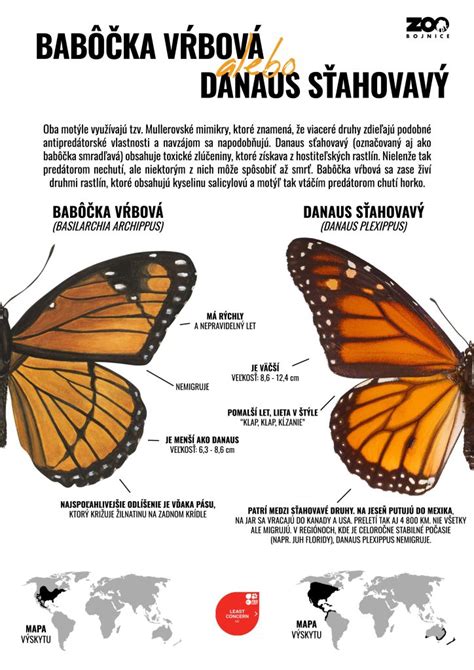 Infografika: Rozdiel medzi odborným poradenstvom a manipulatívnym veštením