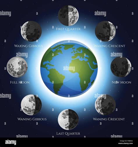 Moon phases illustration