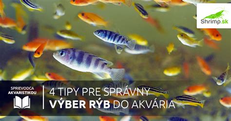 Zdravie Rýb tipy