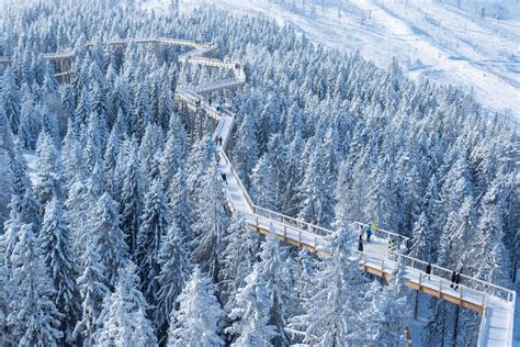 Chodník v korunách stromov Bachledka s výhľadom na Tatry