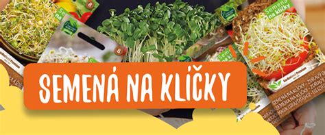infografika znázorňujúca kedy sadiť koreňovú, plodovú a listovú zeleninu