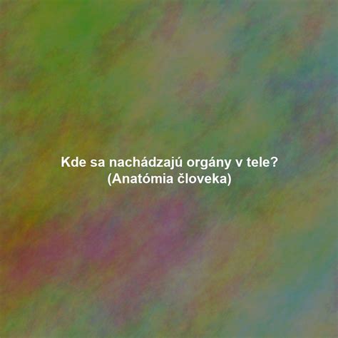 Prehľad umiestnenia siedmich hlavných čakier v tele