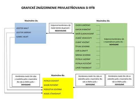 Grafické znázornenie lunárnych fáz a ich vplyvu