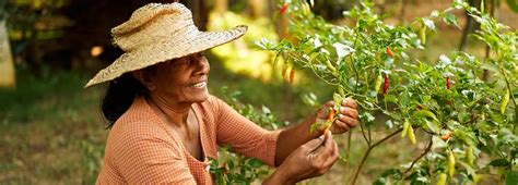 Bocianie symboly v rôznych kultúrach