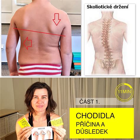 Grafika znázorňujúca frekvenciu chybne interpretovaných proroctiev v médiách