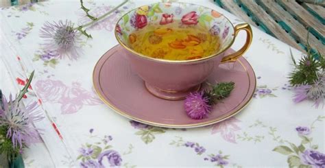 Tipy na jarnú detoxikáciu a pohyb pre Škorpiónov