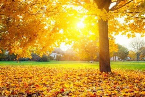 Modliaci sa výletník a slnečný deň