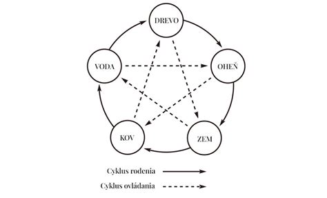 Pentagram piatich elementov a ich orgánové prepojenia v TČM