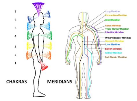 Diagram znázorňujúci energetické meridiány v ľudskom tele