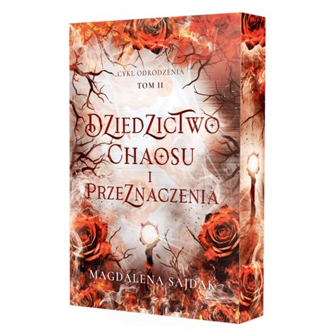 Zobrazene chaosu a harmónie