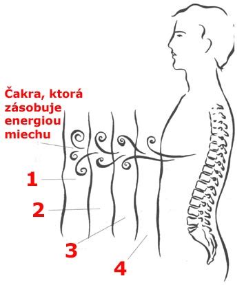 Symbolika kariet Holí v kontexte elementu ohňa a ľudskej energie