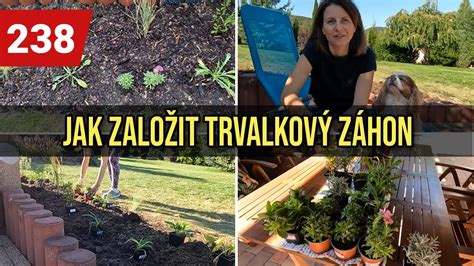 detailná schéma výsadby zeleniny v záhradných záhonoch