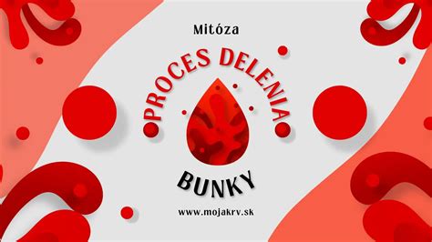 biologický proces delenia buniek a vznik nádoru