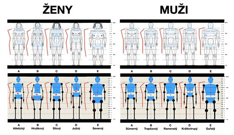 Ilustrácia ženskej postavy meditujúcej s kartami