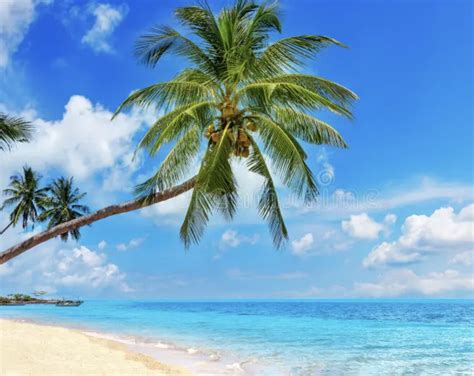 Diagram znázorňujúci vplyv podvedomých myšlienok na výsledný osud jednotlivca