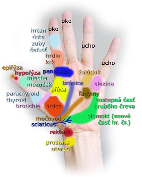 Zobrazenie prúdenia univerzálnej energie cez ruky terapeuta do tela klienta