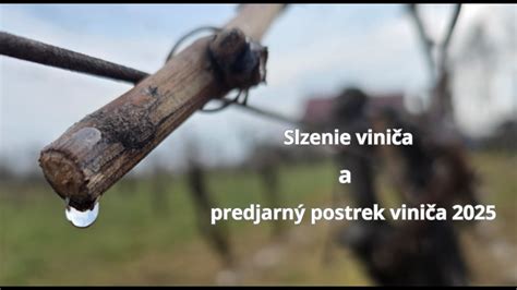 Infografika znázorňujúca optimálne nutričné požiadavky viniča v jednotlivých fázach vegetácie
