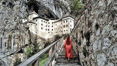Detailná fotografia kozorožca na strmom skalnom útese v Alpách